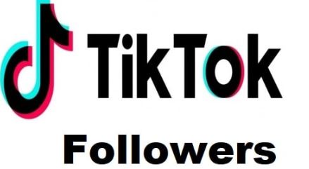 tiktok followers